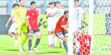 «مرموش».. فى 25 دقيقة