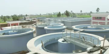 «مرموش».. فى 25 دقيقة