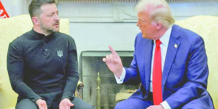 «مرموش».. فى 25 دقيقة