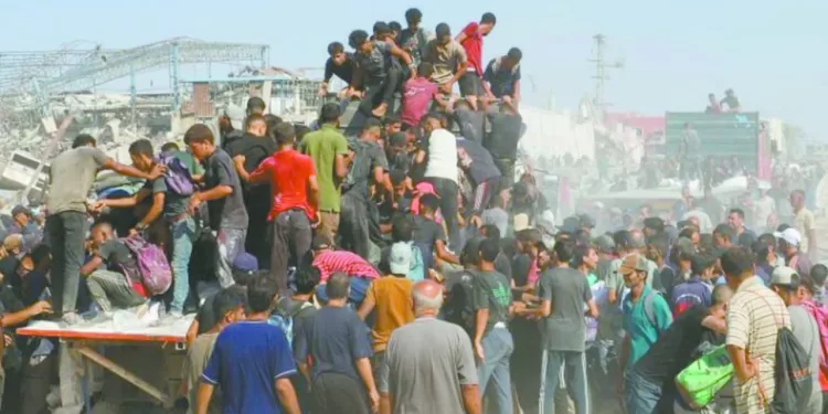 «مرموش».. فى 25 دقيقة