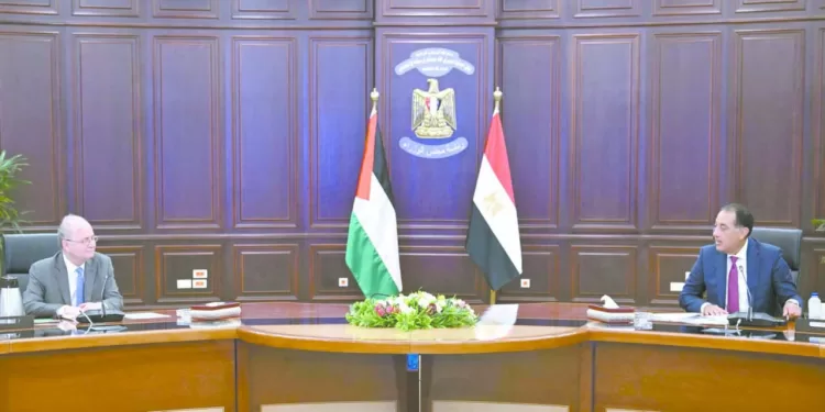 «مرموش».. فى 25 دقيقة