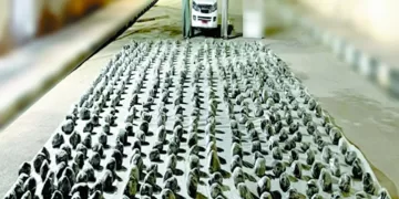 «مرموش».. فى 25 دقيقة