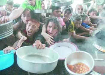 دموع غزة .. صرخة فى وجه المجتمع الدولى 3 - جريدة الجمهورية «الدراويش».. و«زعيم الثغر».. مواجهة النقاط الثلاث