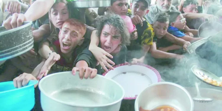 دموع غزة .. صرخة فى وجه المجتمع الدولى 1 - جريدة الجمهورية «الدراويش».. و«زعيم الثغر».. مواجهة النقاط الثلاث