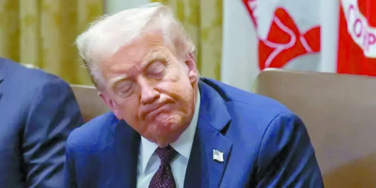 الأهلى يبحث عن مدافعين من الدورى