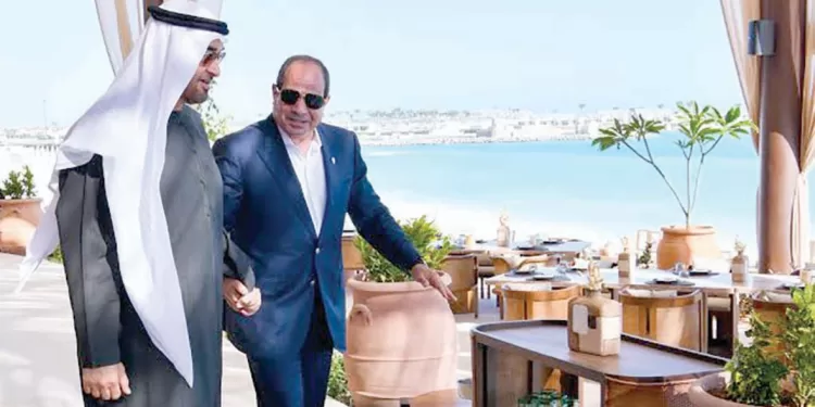 الأهلى يبحث عن مدافعين من الدورى