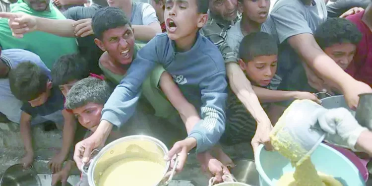الأهلى يبحث عن مدافعين من الدورى