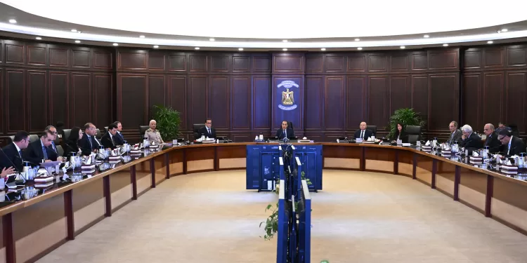 الحكومة تحدد أسعار توريد المحاصيل: القمح بـ2350 جنيهًا وقصب السكر بـ2500 جنيه والبنجر بـ2000