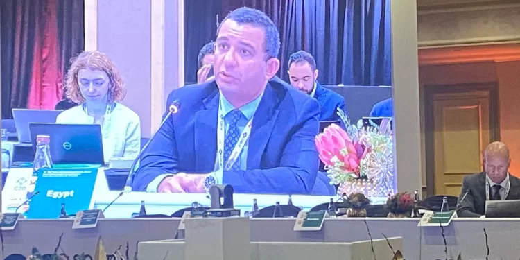 المكتب التجاري المصري ببريتوريا يمثل مصر في مناقشات التجارة والاستثمار بمجموعة العشرين.