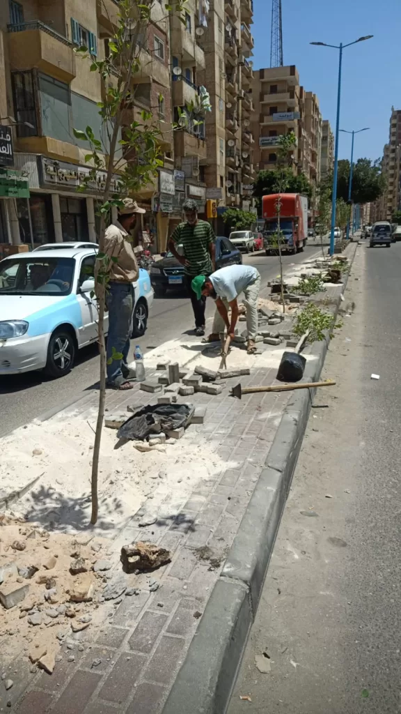 وحدة سكان مطروح تشارك في مبادرة «مطروح الخير» لزراعة أشجار الزينة 2 - جريدة الجمهورية WhatsApp Image 2025 08 01 at 6.10.08 PM 1 - جريدة الجمهورية