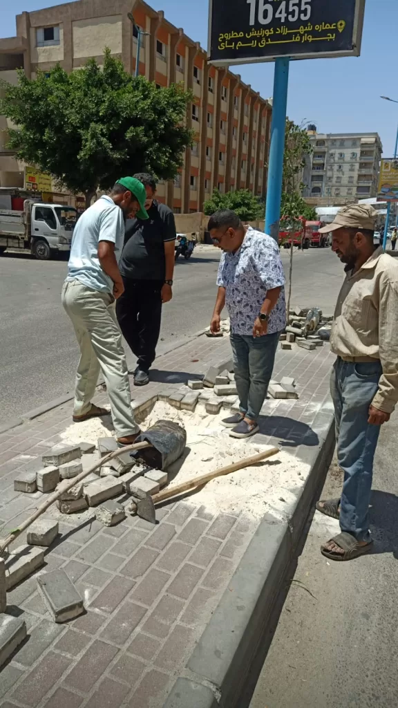 وحدة سكان مطروح تشارك في مبادرة «مطروح الخير» لزراعة أشجار الزينة 3 - جريدة الجمهورية WhatsApp Image 2025 08 01 at 6.10.08 PM 2 - جريدة الجمهورية