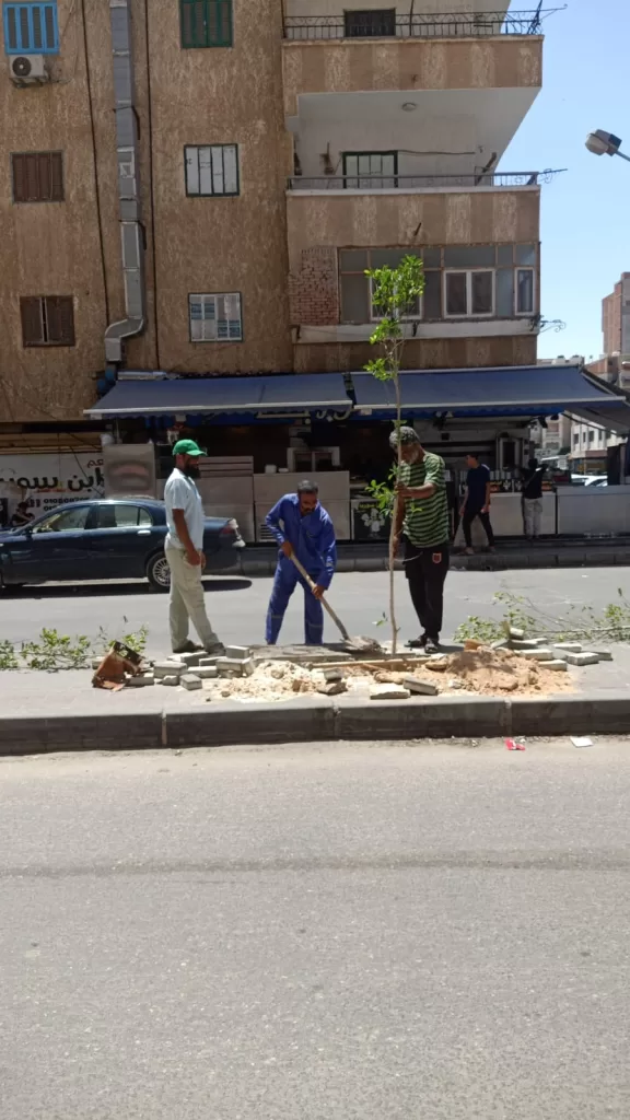 وحدة سكان مطروح تشارك في مبادرة «مطروح الخير» لزراعة أشجار الزينة 6 - جريدة الجمهورية WhatsApp Image 2025 08 01 at 6.10.08 PM 4 - جريدة الجمهورية