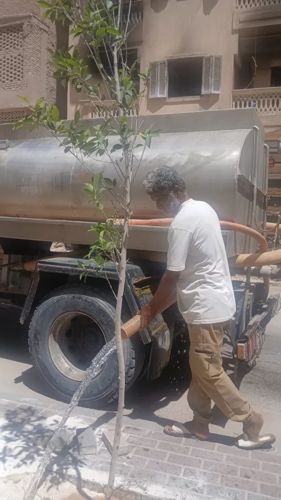 وحدة سكان مطروح تشارك في مبادرة «مطروح الخير» لزراعة أشجار الزينة 4 - جريدة الجمهورية WhatsApp Image 2025 08 01 at 6.10.08 PM 5 - جريدة الجمهورية