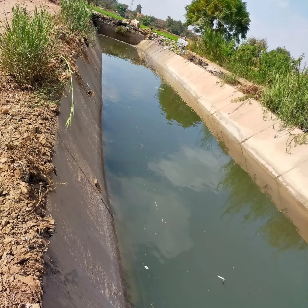 محافظ المنوفية يتابع جهود تطوير القطاع الزراعي 2 - جريدة الجمهورية WhatsApp Image 2025 08 02 at 7.04.00 PM 1 - جريدة الجمهورية
