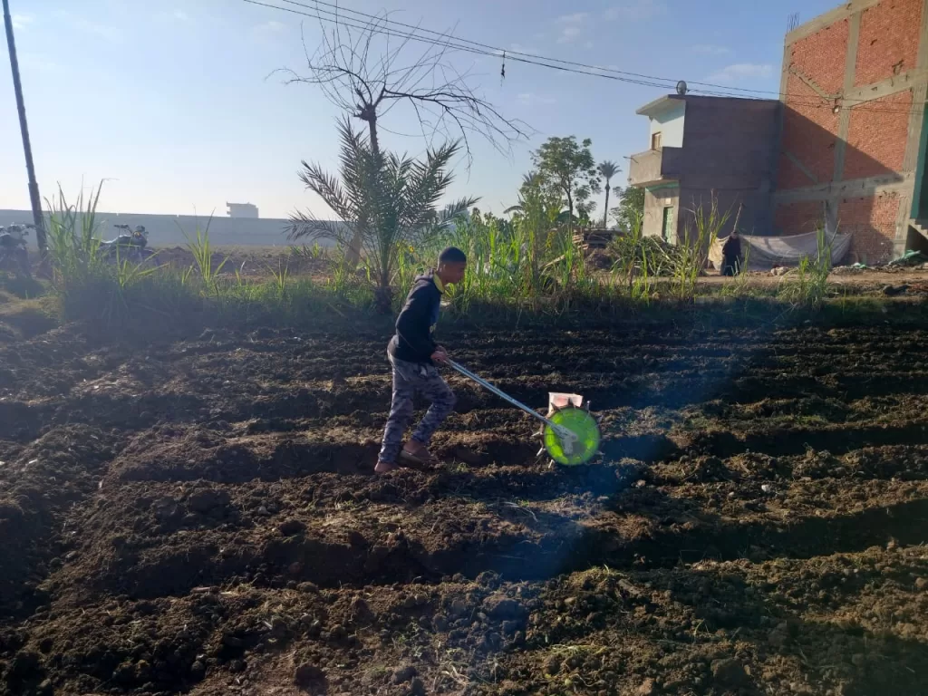 محافظ المنوفية يتابع جهود تطوير القطاع الزراعي 3 - جريدة الجمهورية WhatsApp Image 2025 08 02 at 7.04.00 PM - جريدة الجمهورية