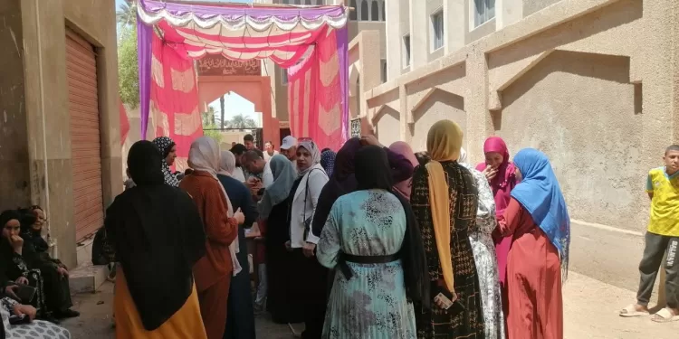 أمل عمار: مشاركة المرأة في الانتخابات مسؤولية وطنية لا يمكن التهاون فيها