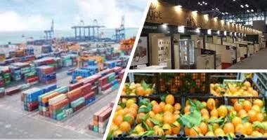 الصادرات الغذائية المصرية ترتفع بنسبة 6% لتصل إلى 3.36 مليار دولار خلال 6 أشهر 2 - جريدة الجمهورية WhatsApp Image 2025 08 07 at 2.48.56 PM - جريدة الجمهورية
