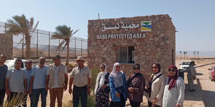 وزارة البيئة تنفذ حملة للتخلص من المخلفات والتوعية بمحمية نبق الطبيعية بجنوب سيناء 1 - جريدة الجمهورية وزارة البيئة تنفذ حملة للتخلص من المخلفات والتوعية بمحمية نبق الطبيعية بجنوب سيناء