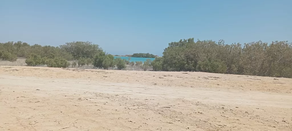 وزارة البيئة تنفذ حملة للتخلص من المخلفات والتوعية بمحمية نبق الطبيعية بجنوب سيناء 2 - جريدة الجمهورية WhatsApp Image 2025 08 08 at 6.45.50 PM 1 - جريدة الجمهورية