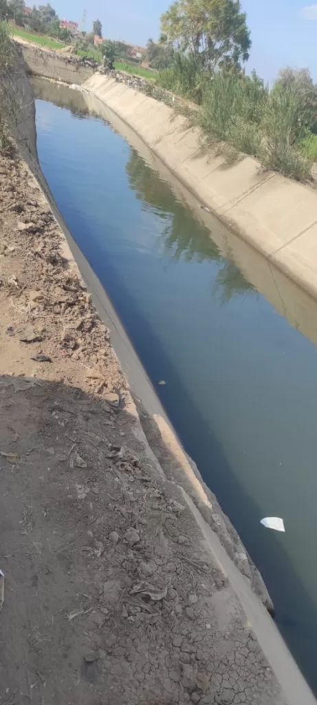 مديرية الزراعة بالمنوفية: توزيع أكثر من 31 ألف طن أسمدة وتطهير 13 كم من المساقي خلال أسبوع 4 - جريدة الجمهورية WhatsApp Image 2025 08 09 at 1.50.45 PM 1 - جريدة الجمهورية
