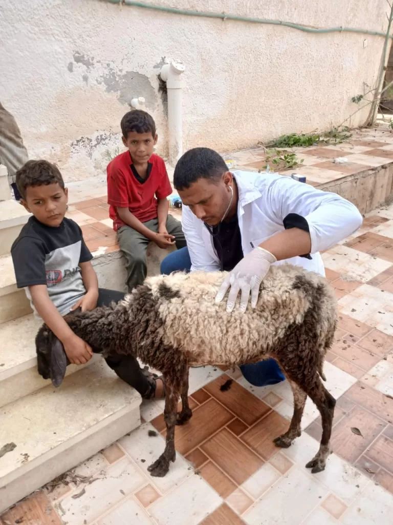 قافلة مجانية شاملة لخدمة أهالي مطروح 4 - جريدة الجمهورية WhatsApp Image 2025 08 11 at 11.36.33 AM 2 - جريدة الجمهورية
