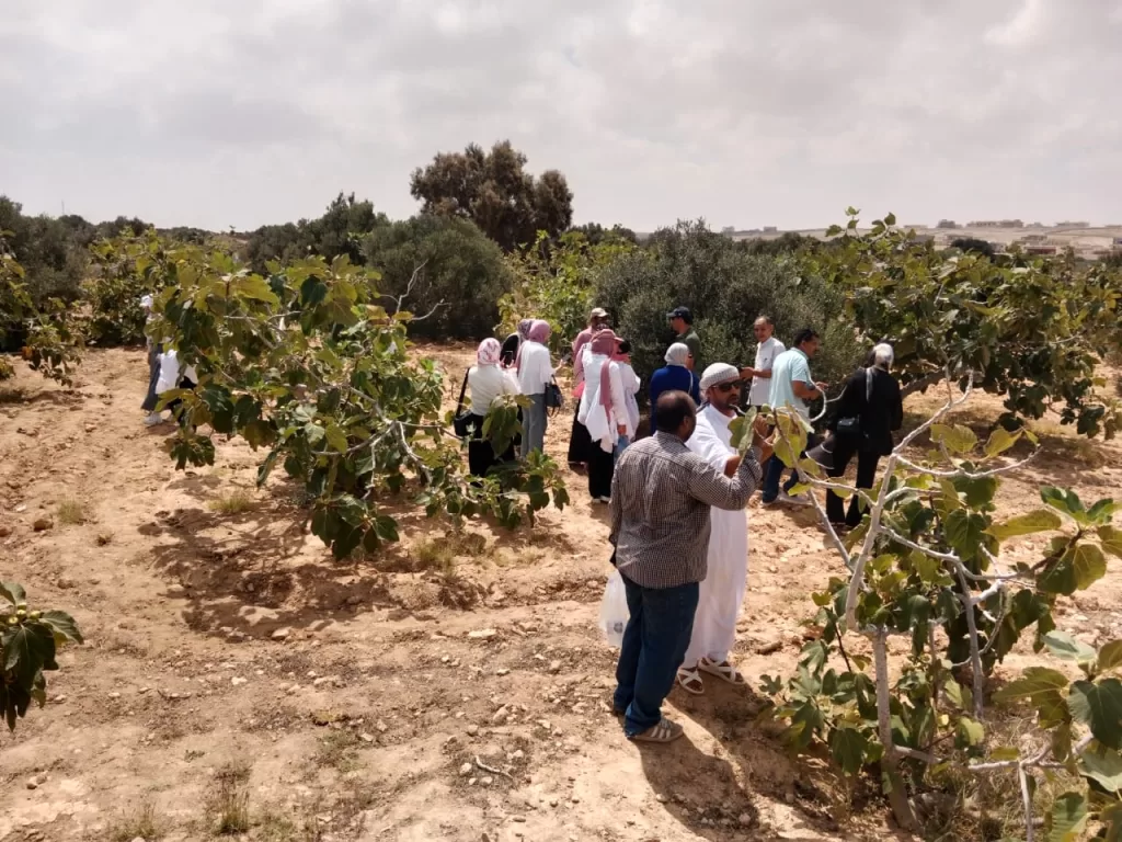 قافلة مجانية شاملة لخدمة أهالي مطروح 5 - جريدة الجمهورية WhatsApp Image 2025 08 11 at 11.36.33 AM 3 - جريدة الجمهورية