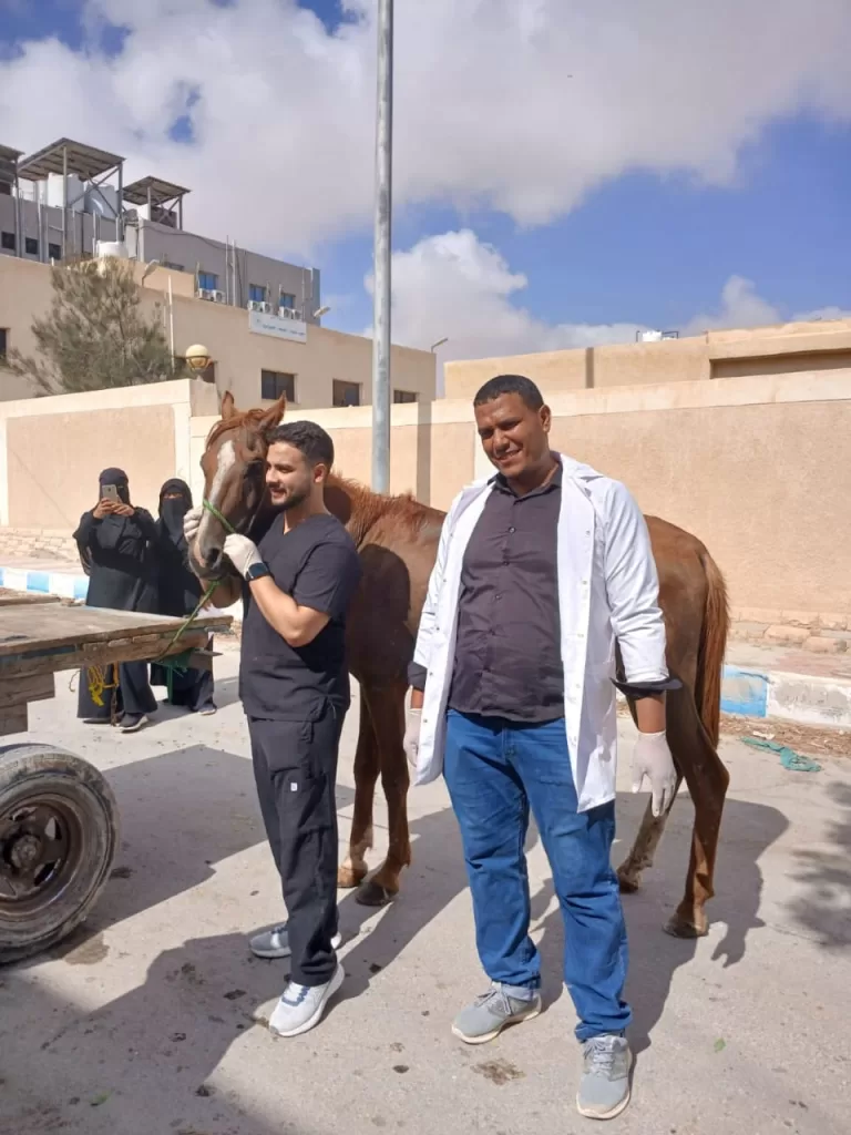 قافلة مجانية شاملة لخدمة أهالي مطروح 3 - جريدة الجمهورية WhatsApp Image 2025 08 11 at 11.36.33 AM 5 - جريدة الجمهورية