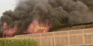 مأساة إنسانية في القليوبية.. مصرع خمسة أشخاص في حريق مروع بمخزن بلاستيك