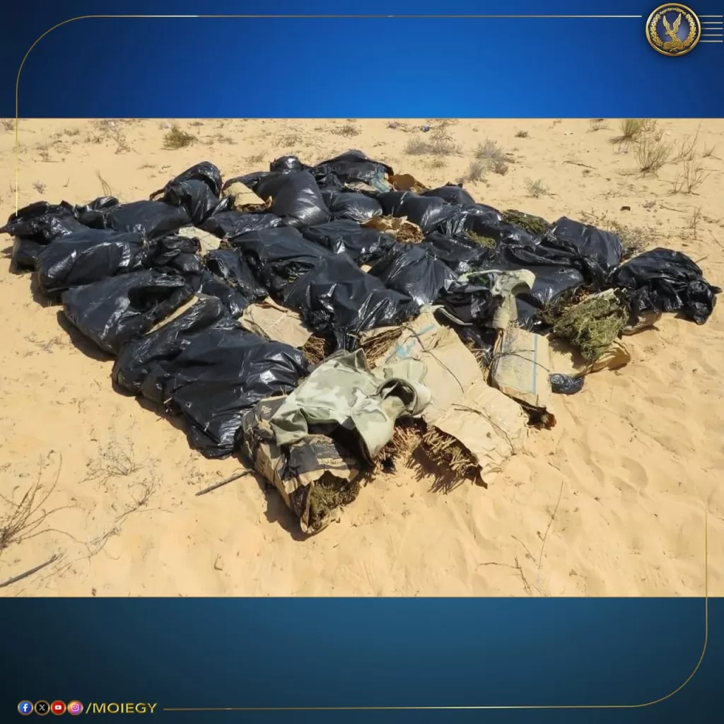 ضربات استباقية لتجار الموت.. ضبط 13 طنًا من «الكيف المدمر» بـ800 مليون جنيه 6 - جريدة الجمهورية WhatsApp Image 2025 08 22 at 5.01.15 PM - جريدة الجمهورية
