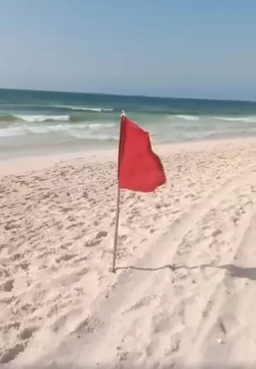 WhatsApp Image 2025 08 26 at 11.45.18 PM - جريدة الجمهورية