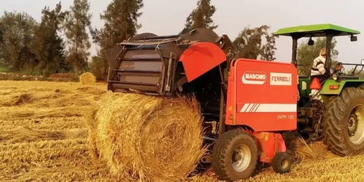 جهود مكثفة بالشرقية لمكافحة «السحابة السوداء» وحماية البيئة