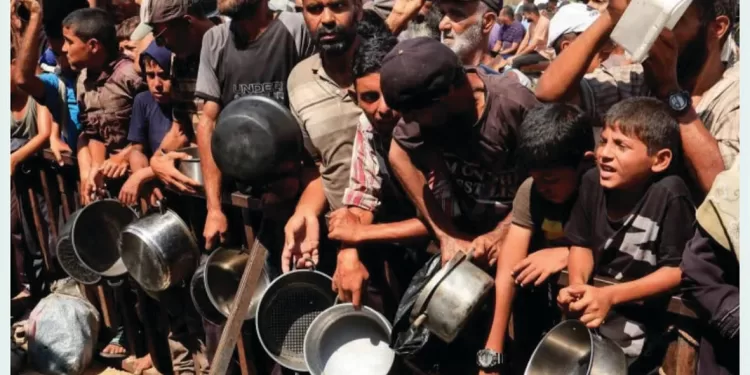 الأمم المتحدة تعلن «المجاعة فى غزة».. رسميًا