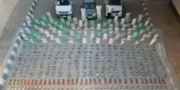 ضربات مدمرة لتجار «الكيف القاتل».. ضبط 3 متهمين بـ4 أطنان من المخدرات في رأس سدر بـ290 مليون جنيه