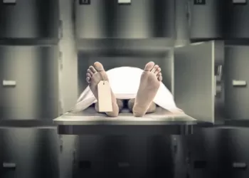 سيدة الإسكندرية «آخر إجرام».. تخلصت من زوجها «بسكين المطبخ» في «ساعة شيطان» 4 - جريدة الجمهورية ابن ينهي حياة والده بسبب زواجه العرفي في الشرقية