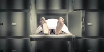 ابن ينهي حياة والده بسبب زواجه العرفي في الشرقية