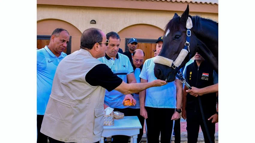 فيديو| زيارة الرئيس عبد الفتاح السيسي للأكاديمية العسكرية المصرية بمقر القيادة الاستراتيجية في العاصمة 6 - جريدة الجمهورية 0 13 jpg - جريدة الجمهورية