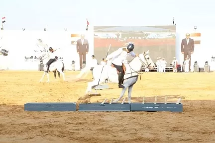 انطلاق فعاليات «مهرجان الخيول العربية» بالشرقية في الأول من أكتوبر 3 - جريدة الجمهورية 2 149 - جريدة الجمهورية