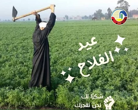 في عيد الفلاح.. محافظ البحيرة تشيد بدور الفلاحين في بناء الوطن