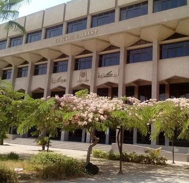 انطلاق أكبر «هاكاثون للأمن السيبراني» في مصر بمكتبة حلوان المركزية