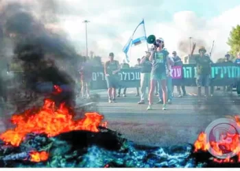 الموت ينتشر ببطء.. 2 - جريدة الجمهورية أزمة «الأحمر» مدرب «فقير فنيًا» وإدارة مرتعشة ولاعبون بلانخوة