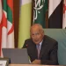 في الاجتماع الوزاري بالجامعة العربية.. أبو الغيط:المجتمع الدولي عاجز عن وقف التجاوزات الإسرائيلية 7 - جريدة الجمهورية جامعة المنصورة تطلق أول برنامج صيدلة إكلينيكية دولي