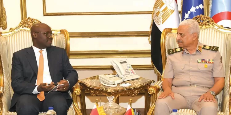 «القاهرة» تدعم الدول الإفريقية بمختلف القضايا والأزمات