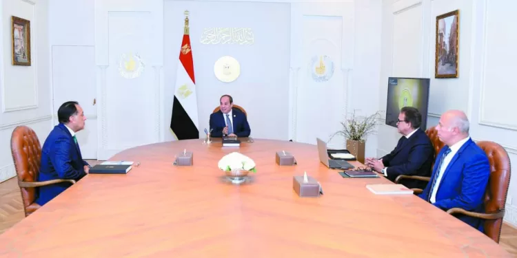 «القاهرة» تدعم الدول الإفريقية بمختلف القضايا والأزمات