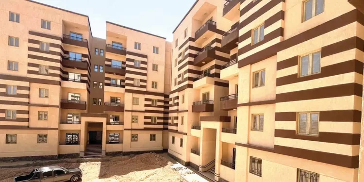 فوز معنوى «نبيه» يعدد مكاسب منتخب الشباب قبل خوض كأس العالم