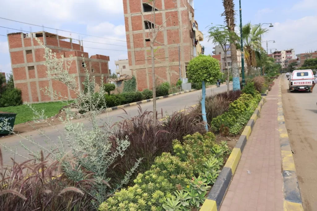 لتحسين الخدمات: محافظ المنوفية يتفقد مشروعات الباجور ويشدد على سرعة التنفيذ 12 - جريدة الجمهورية IMG 20250908 WA0578 - جريدة الجمهورية