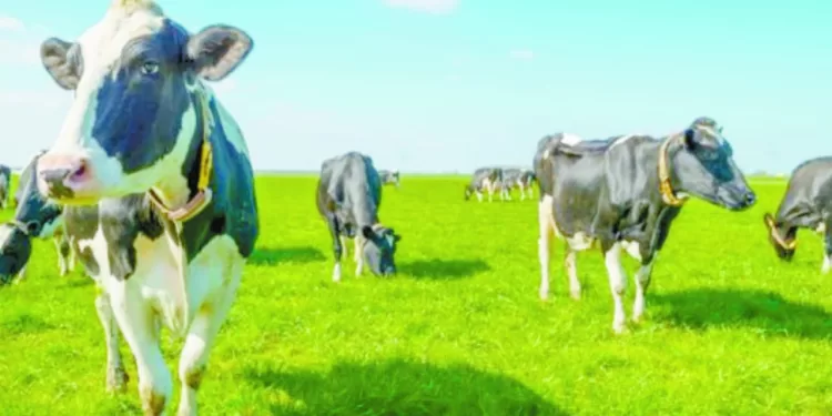 الصدارة.. عربية