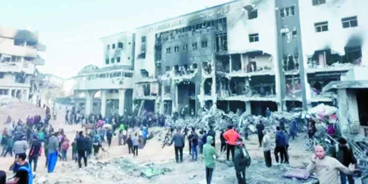 عدنان أبو حسنة المستشار الإعلامى لـ«الأونروا» : موقف مصر الداعم لنا.. تاريخى ولا يمكن استبداله 1 - جريدة الجمهورية الارز الابيض على طريق الاكتفاء الذاتى