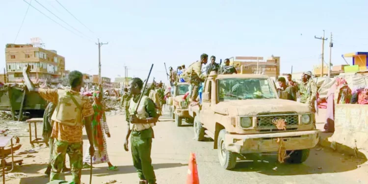 الارز الابيض على طريق الاكتفاء الذاتى