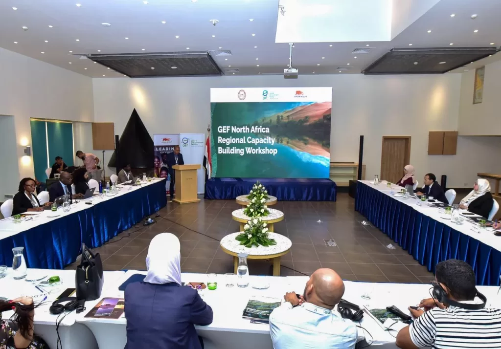 وزارة البيئة تعزز التعاون الإقليمي من خلال ورشة عمل لدول شمال أفريقيا 3 - جريدة الجمهورية IMG 20250919 WA0227 - جريدة الجمهورية