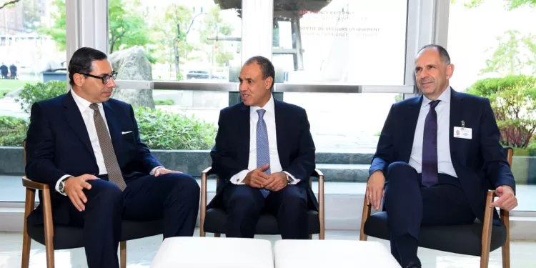 عبد العاطي يشيد بالعلاقات مع الاتحاد الأوروبي.. ويؤكد: الاعتراف بالدولة الفلسطينية الحل الوحيد لاستقرار المنطقة